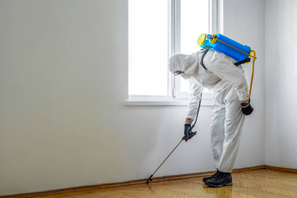 Reliable Fillmore, UT Pest Control Solutions